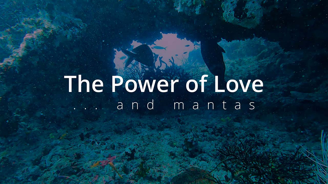 Jackie & Richard in "The Power of Love (and mantas)" - 2023.09.28 (with Ocean Dimensions)