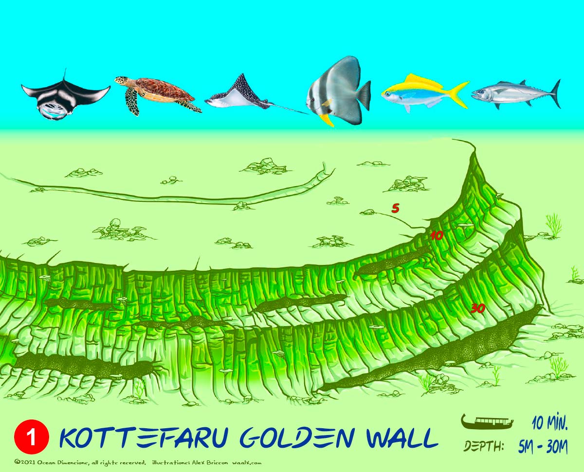 Kottefaru Golden Wall