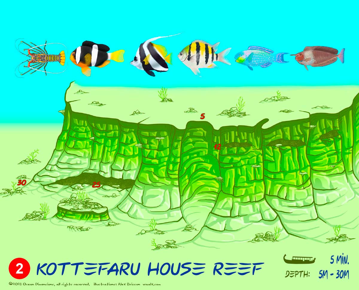 Kottefaru House Reef