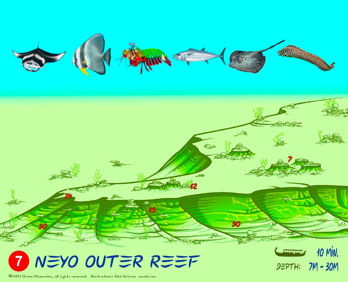 Neyo Outreef