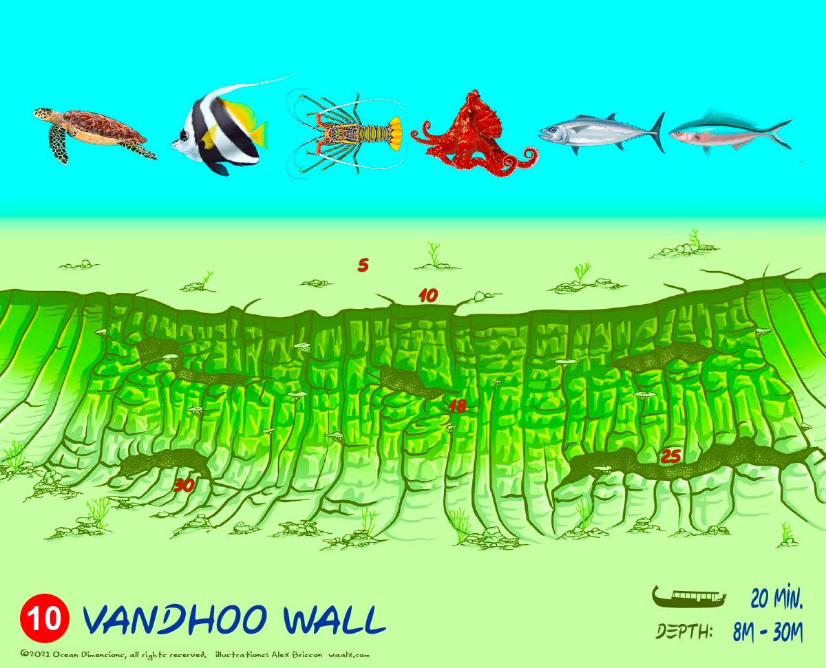Vandhoo Wall