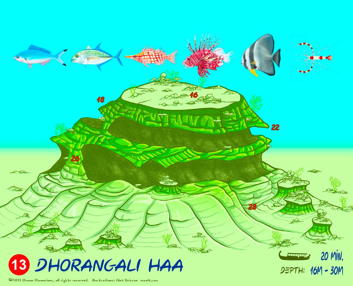Dhorangali Haa