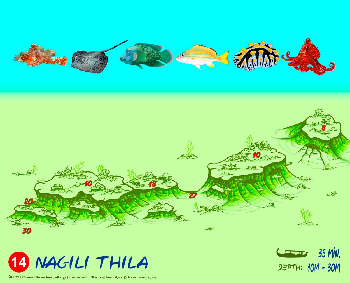 Nagili Thila