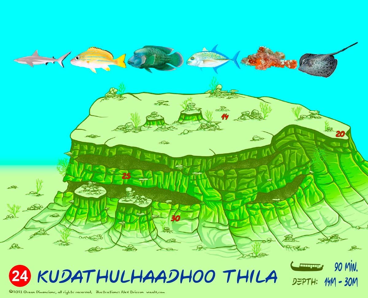Kudathulhaadhoo Thila