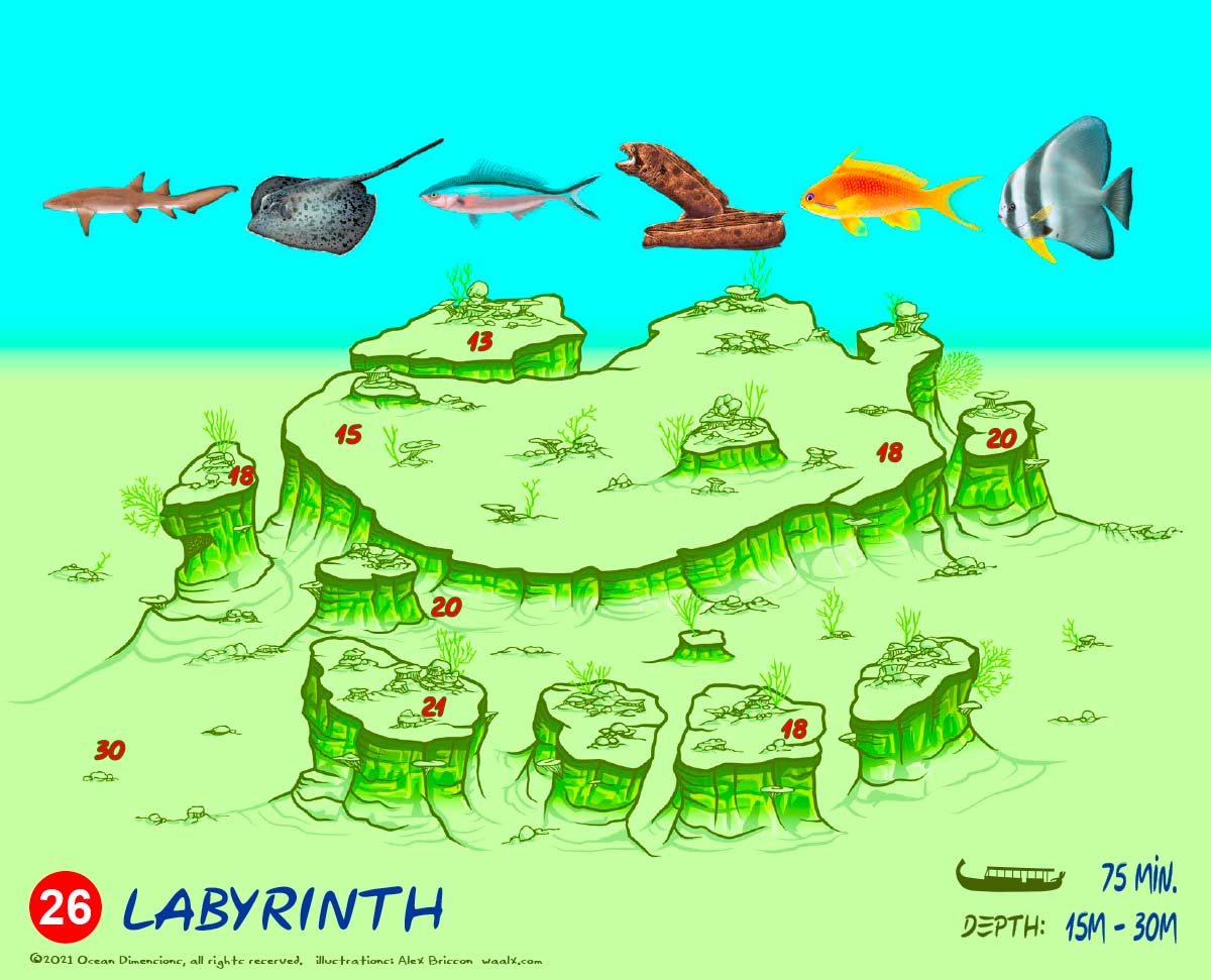 Labyrinth