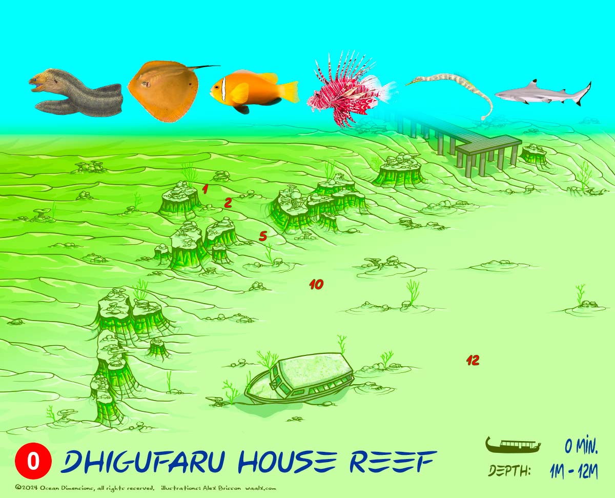 Dhigufaru House Reef