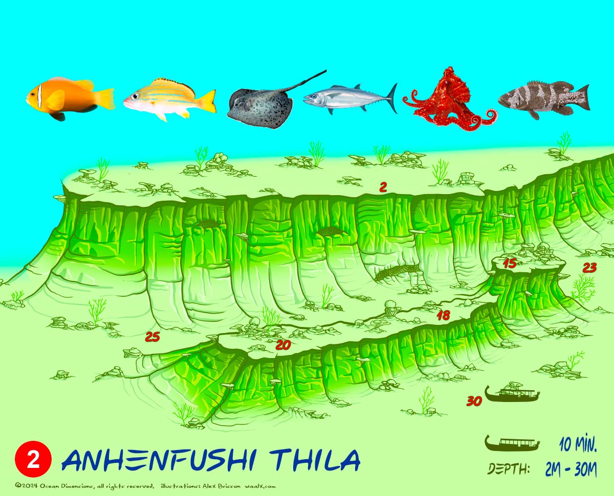 Anhenfushi Thila
