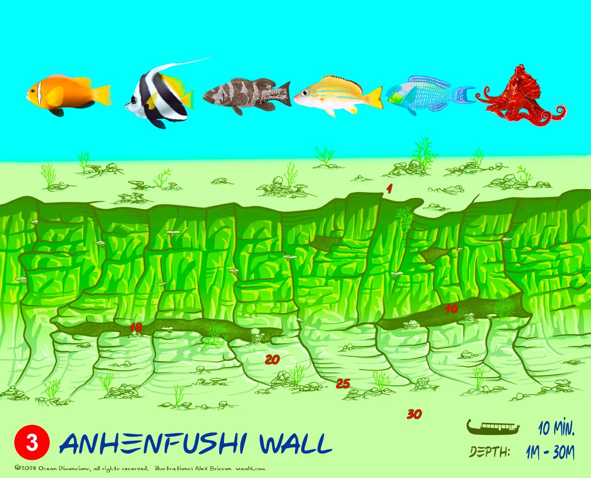 Anhenfushi Wall