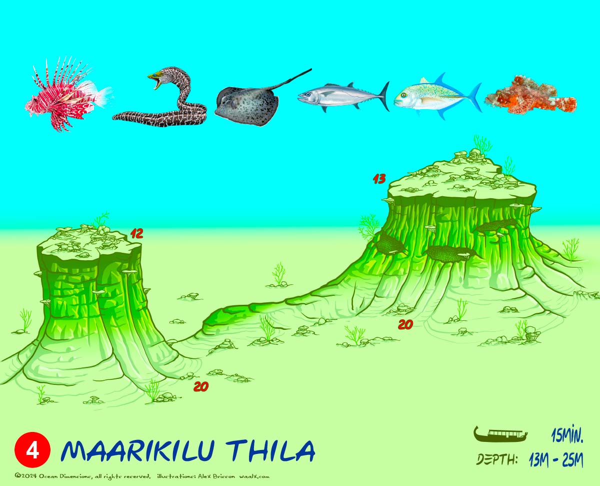 Maarikilu Thila
