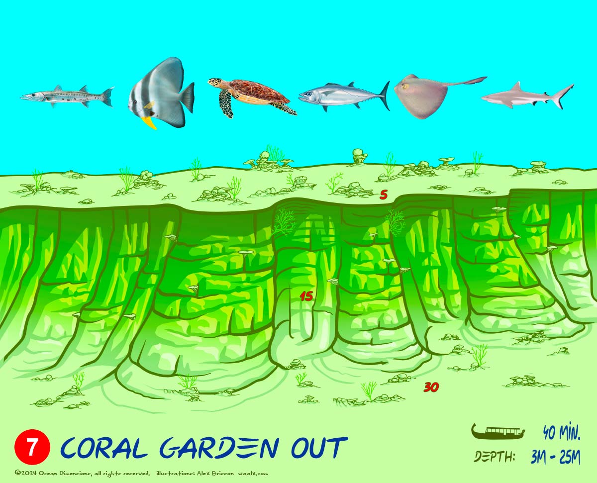 Coral Garden Out