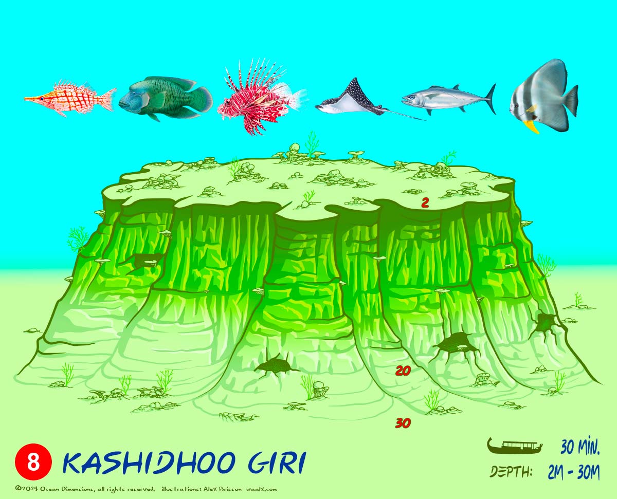 Kashidhoo Giri