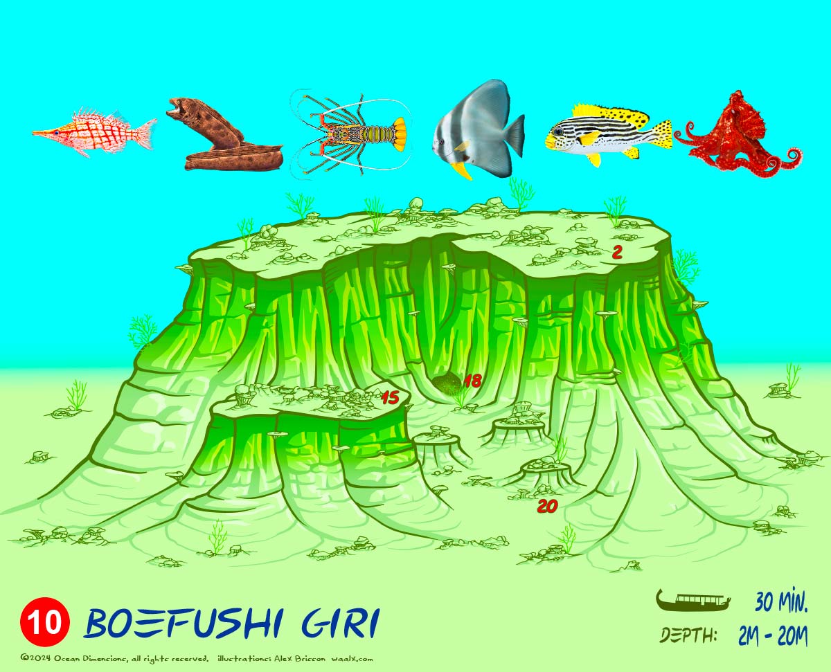 Boefushi Giri