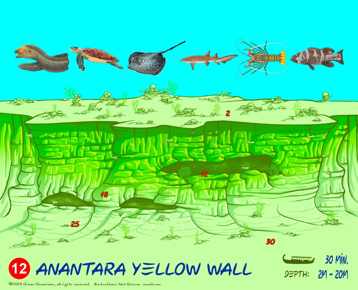 Anantara Yellow Wall