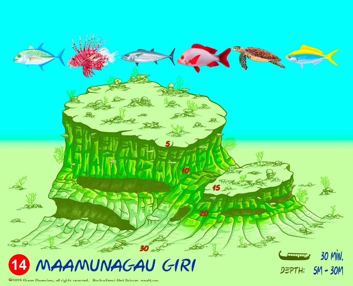 Maamunagau Giri