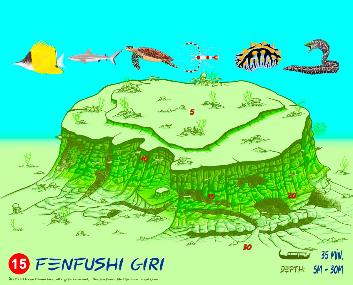 Fenfushi Giri