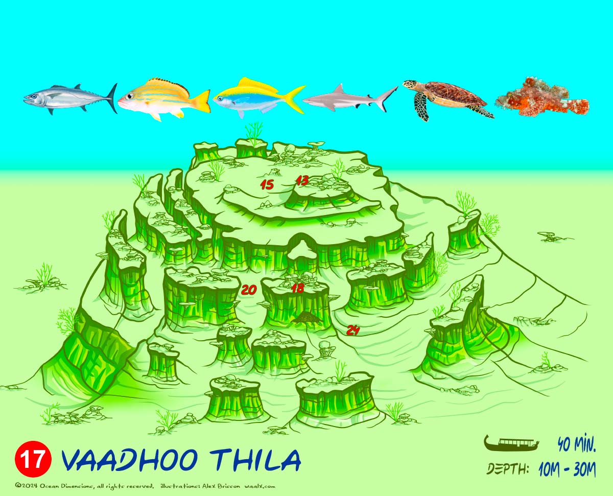 Vaadhoo Thila