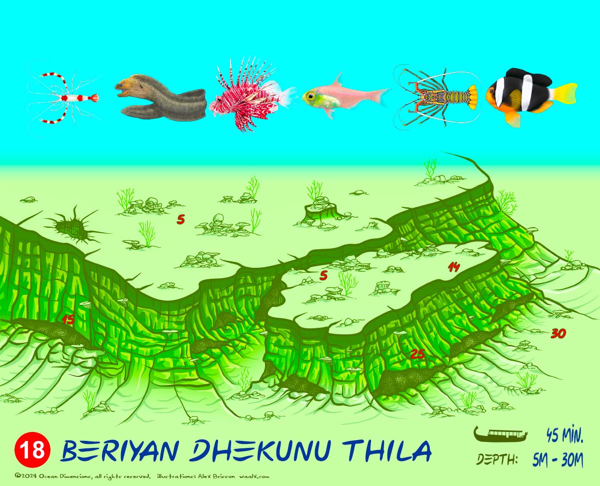 Beriyan Dhekunu Thila