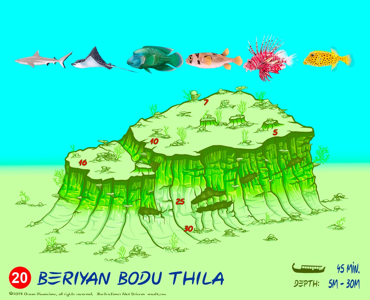 Beriyan Bodu Thila