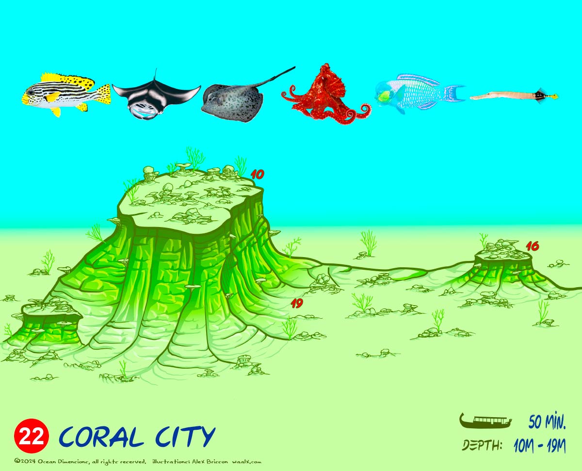 Coral City