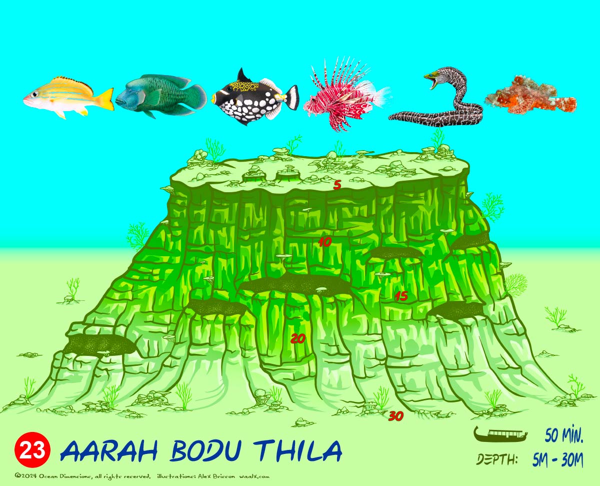 Aarah Bodu Thila