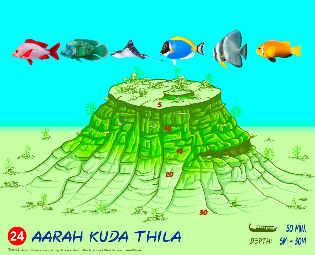 Aarah Kuda Thila