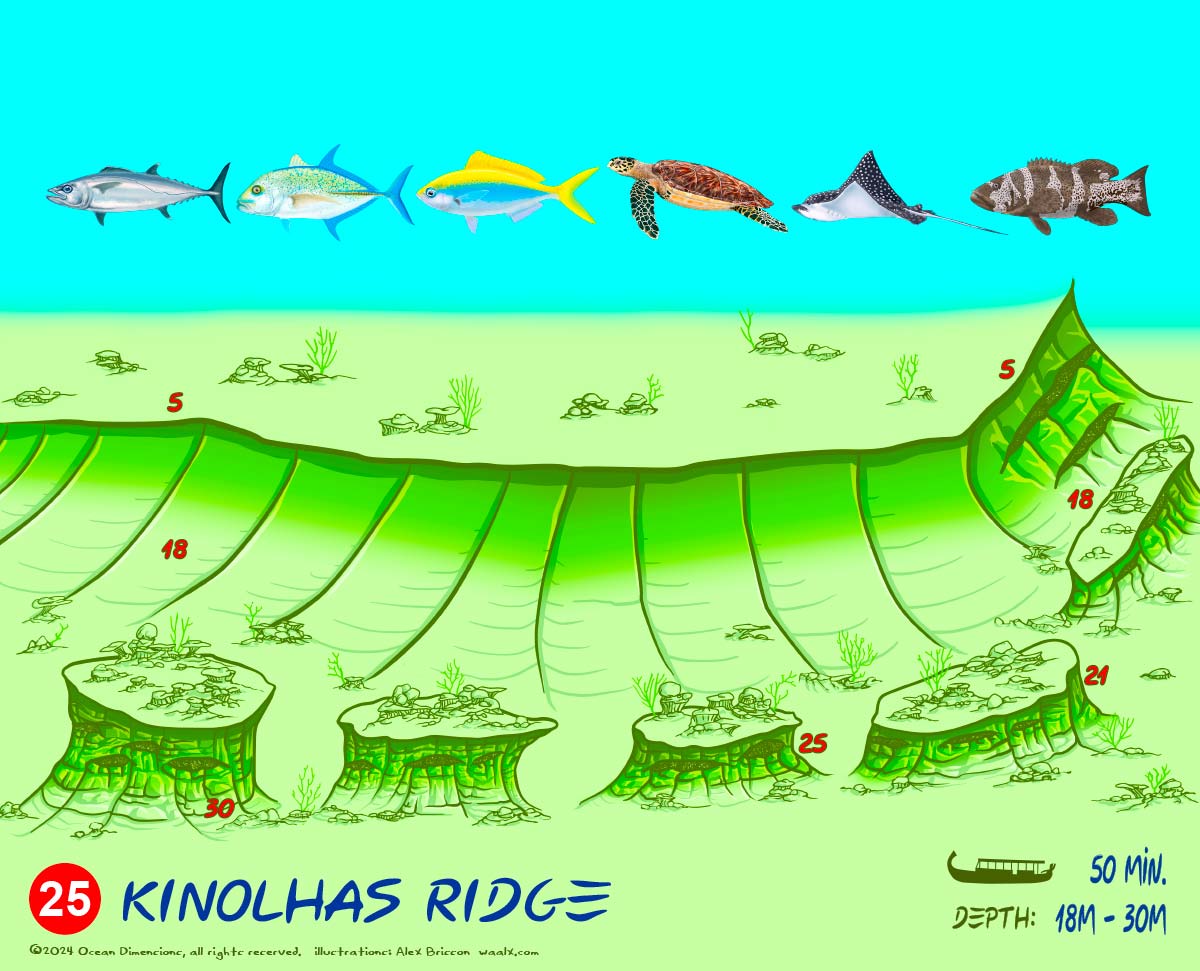Kinolhas Ridge