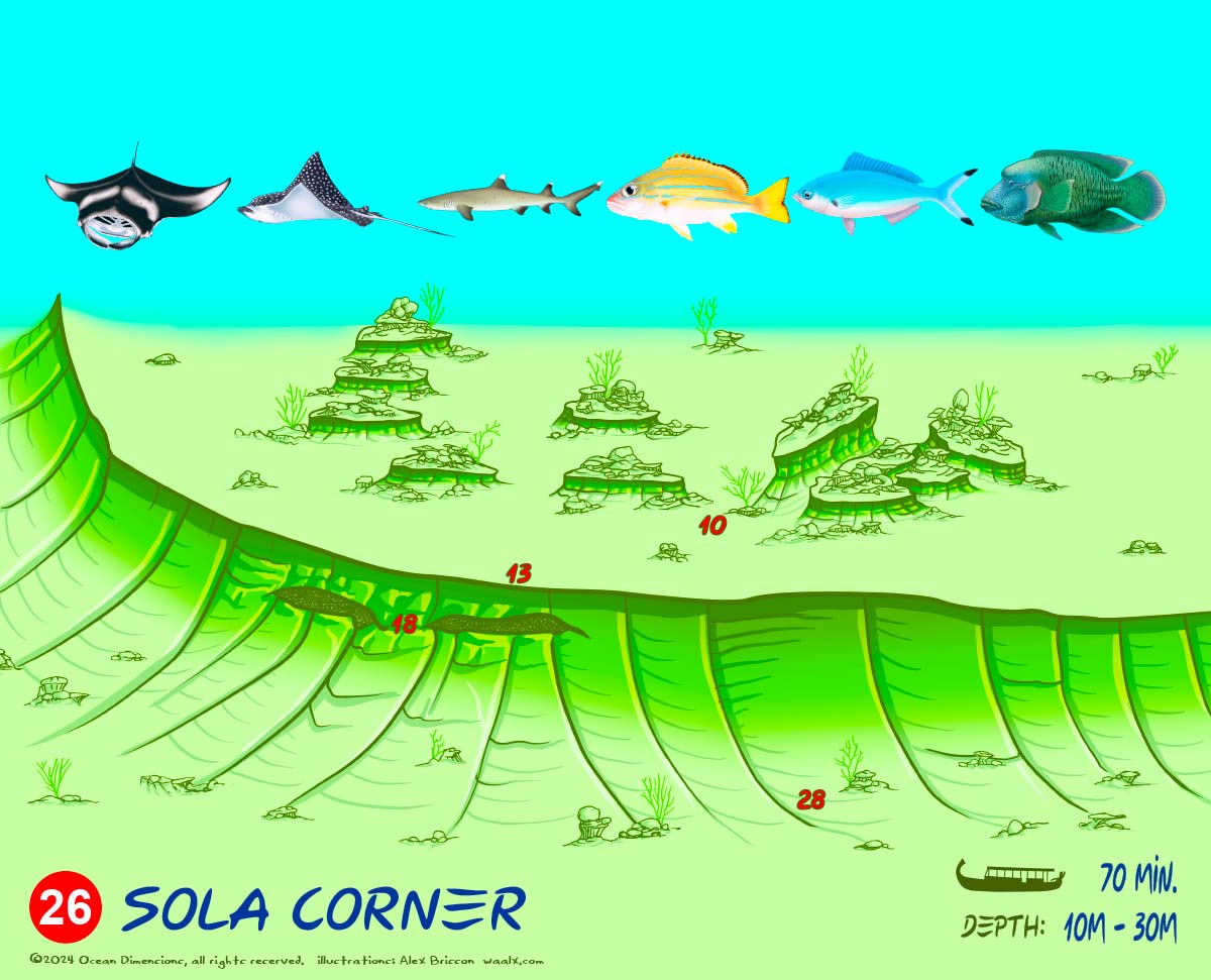 Sola Corner
