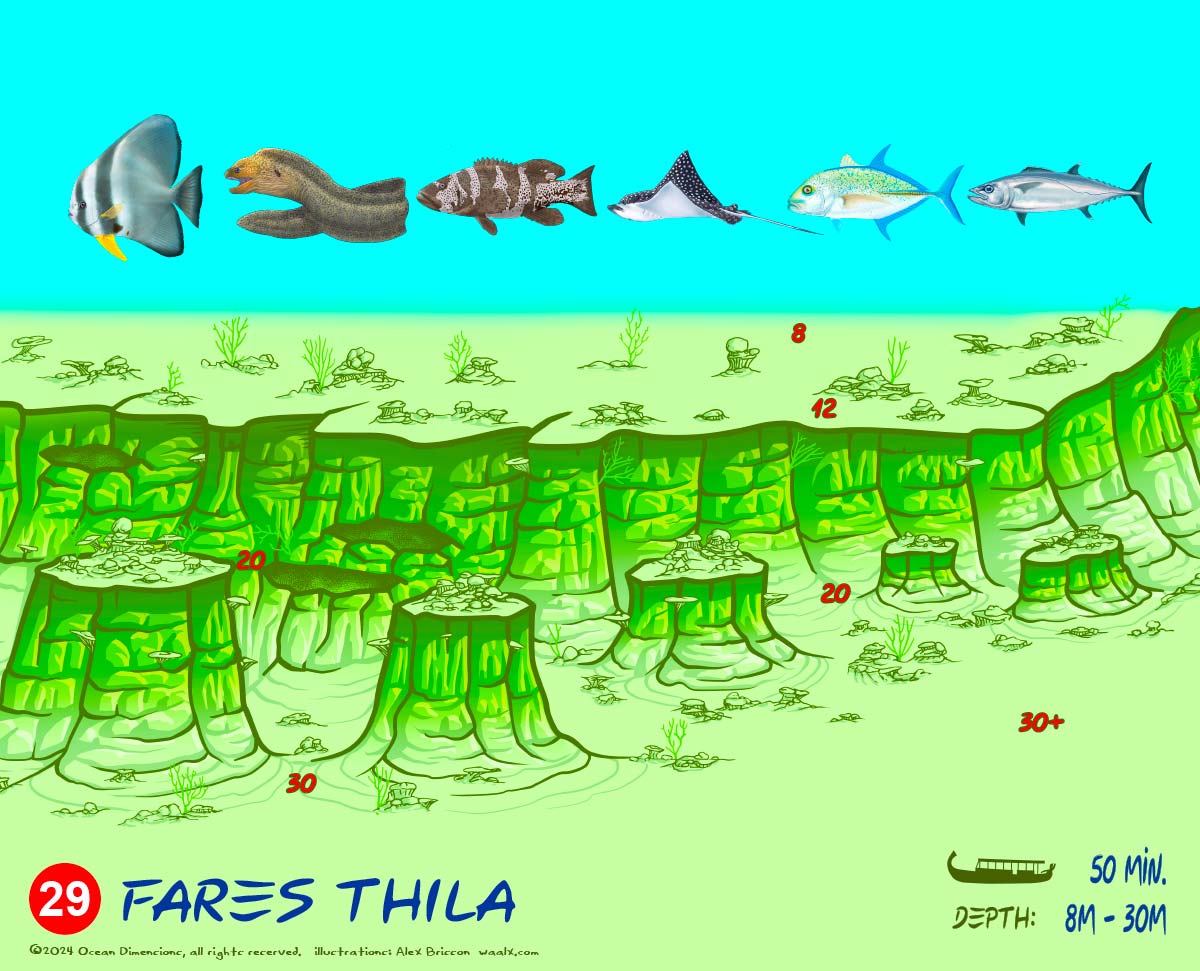 Fares Thila