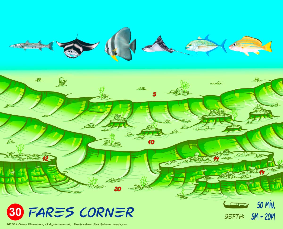Fares Corner