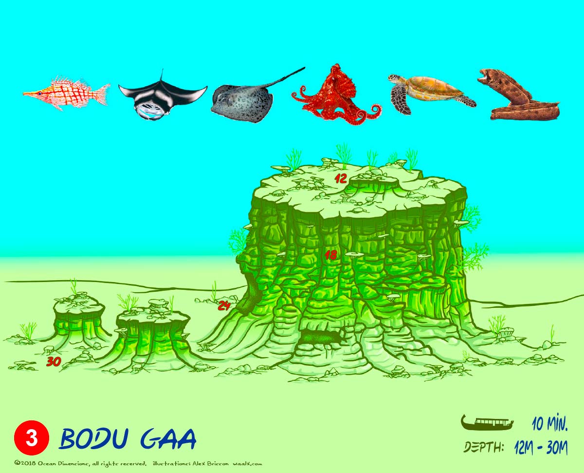Bodu Gaa