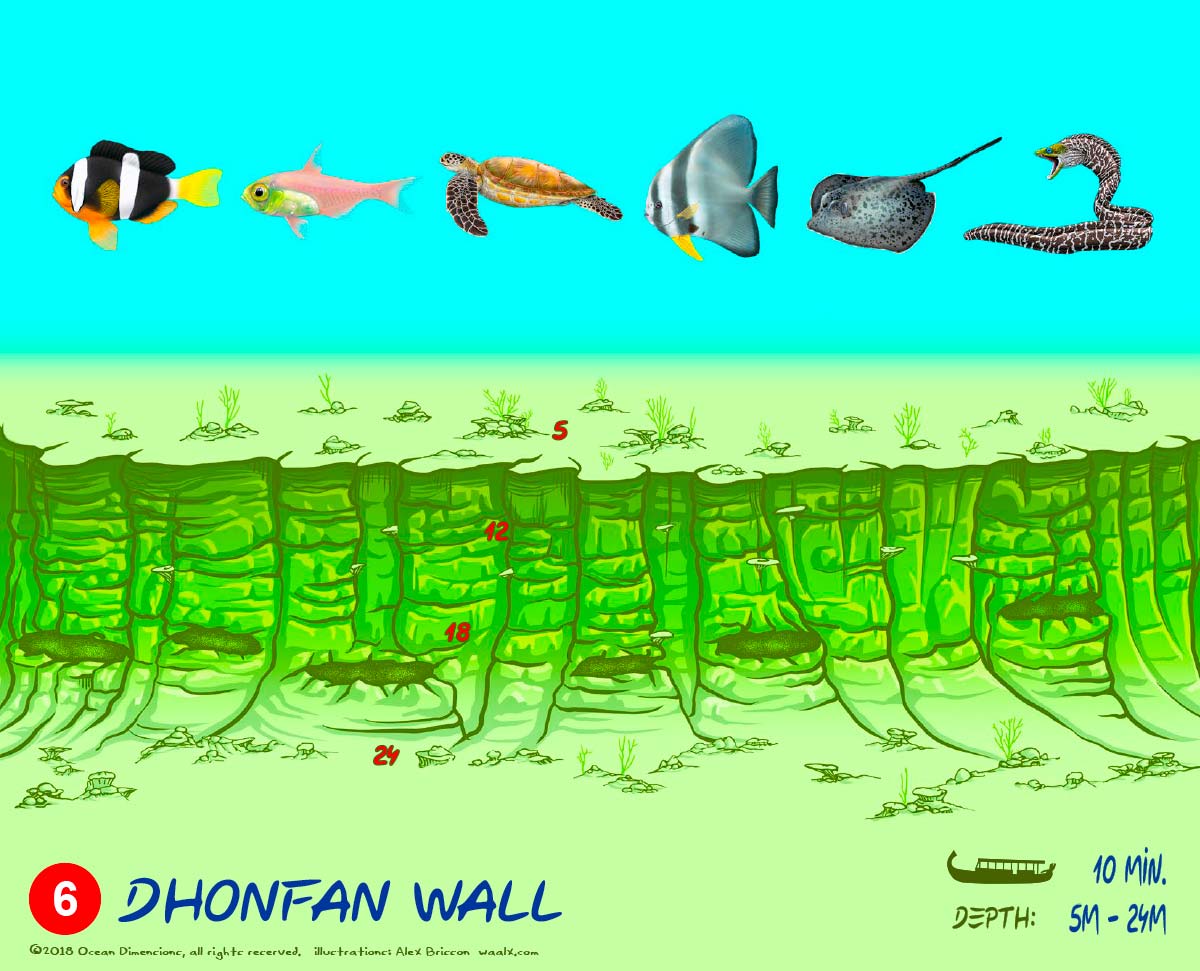 Dhonfan Wall