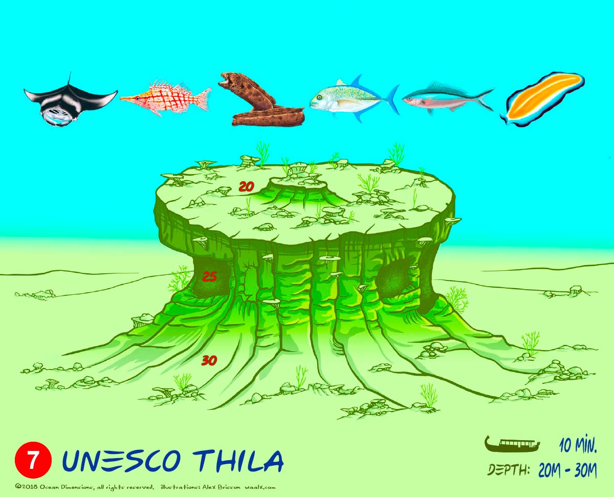 Unesco Thila