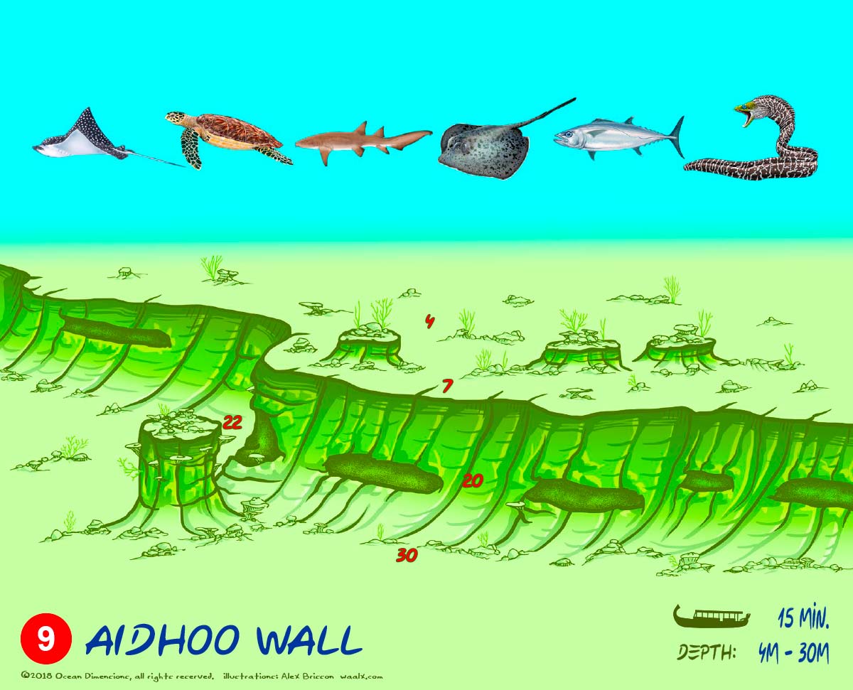 Aidhoo Wall