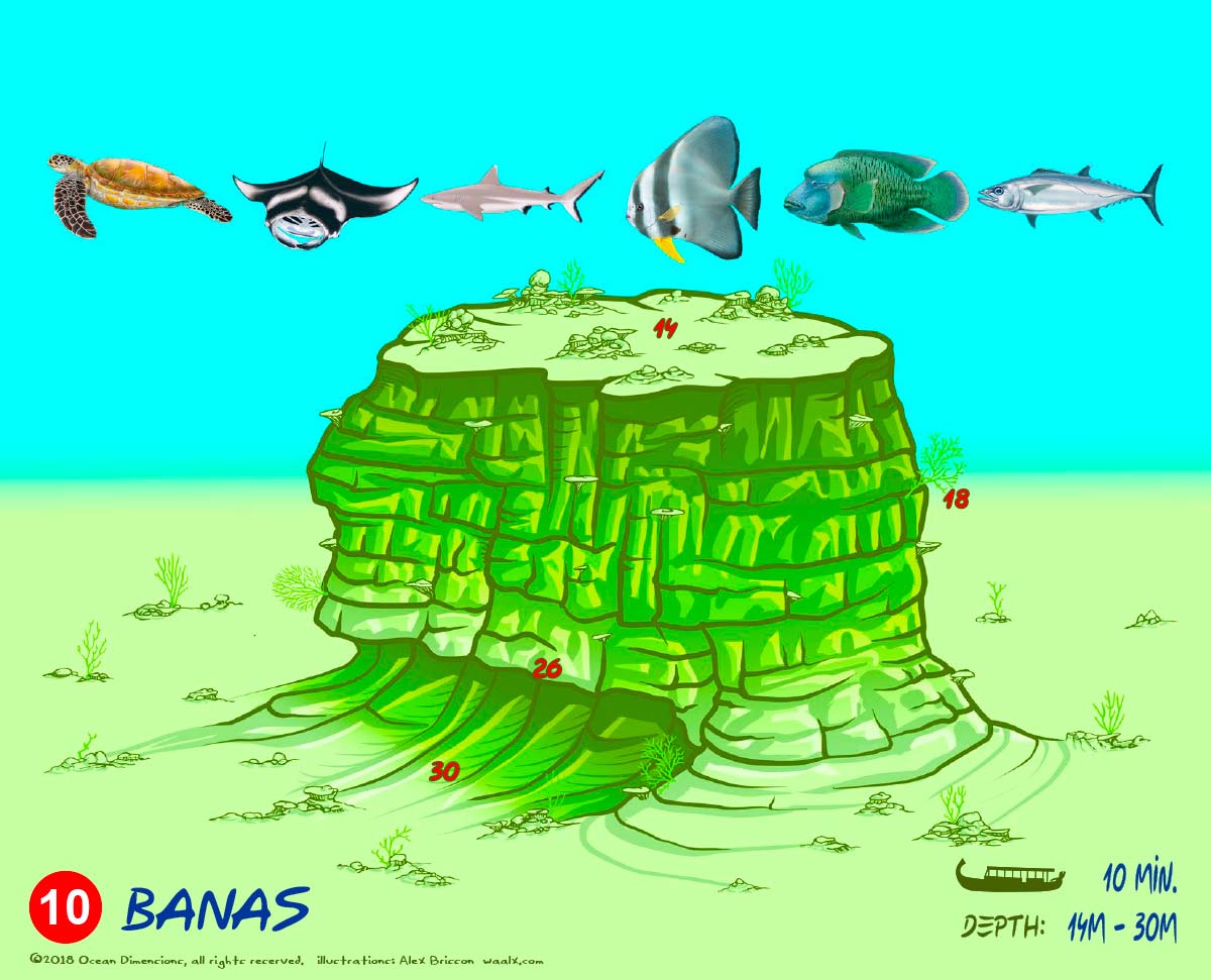 Banas