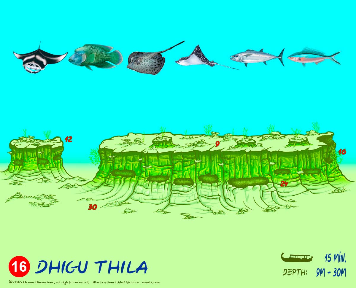 Dhigu Thila