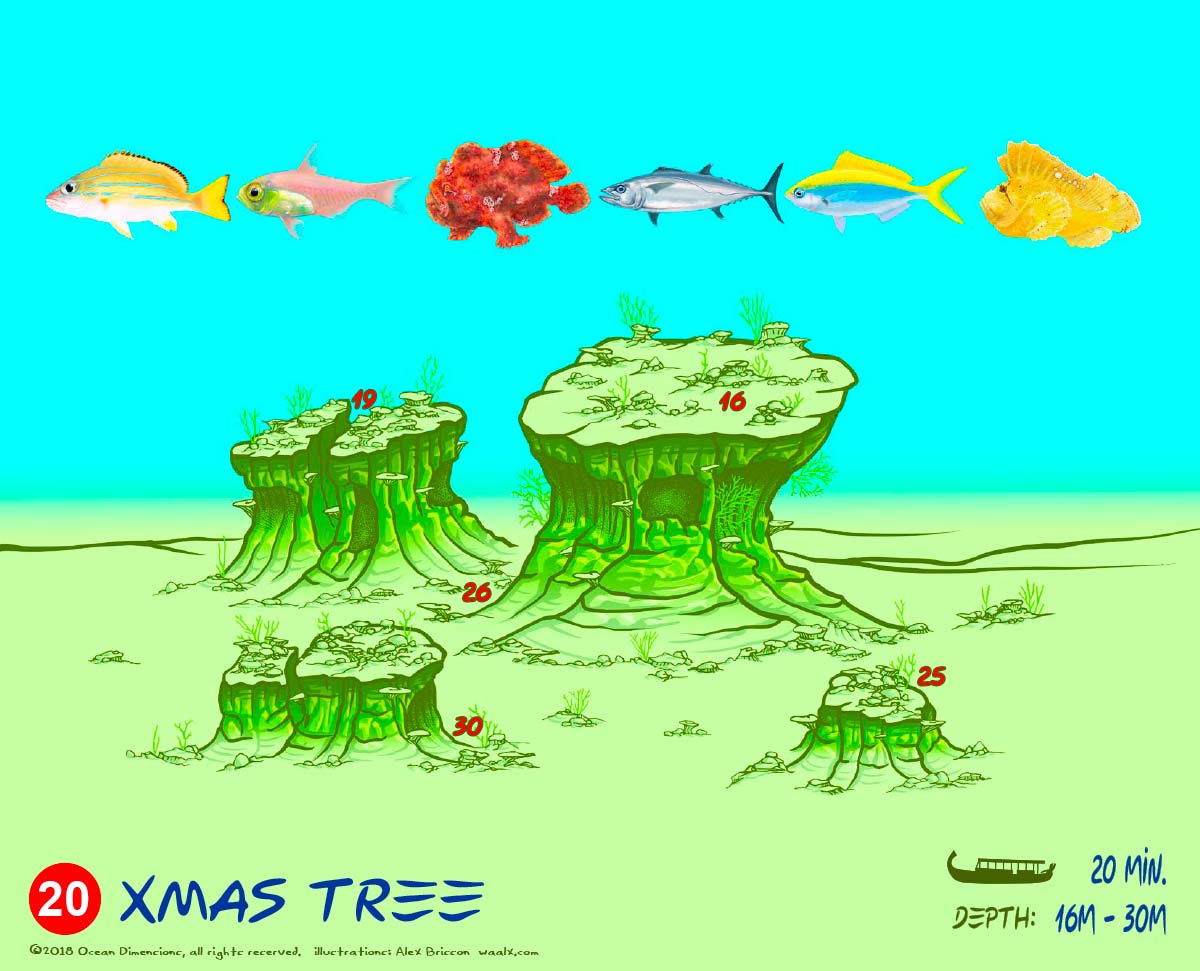 Xmas Tree