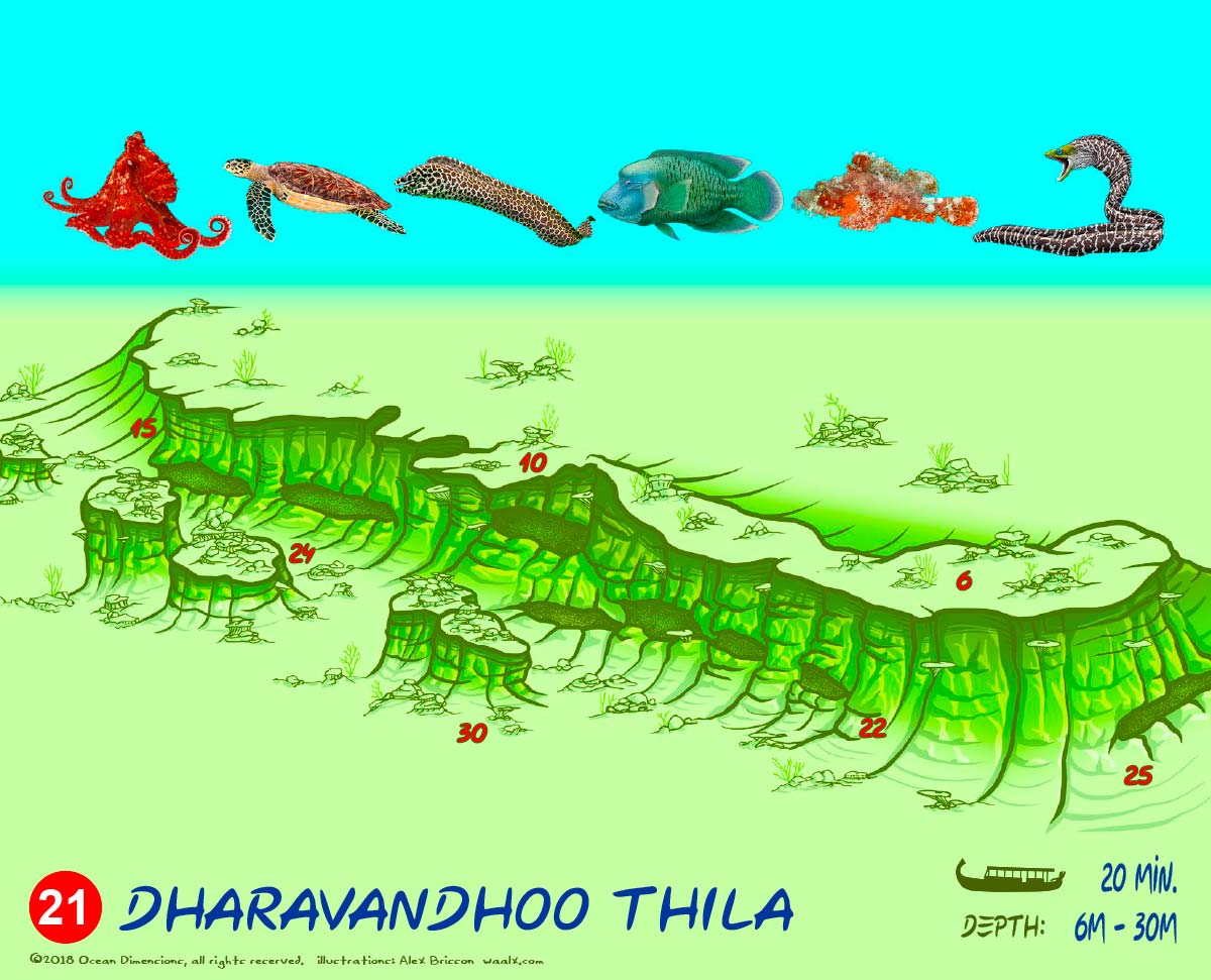 Dharavandhoo Thila