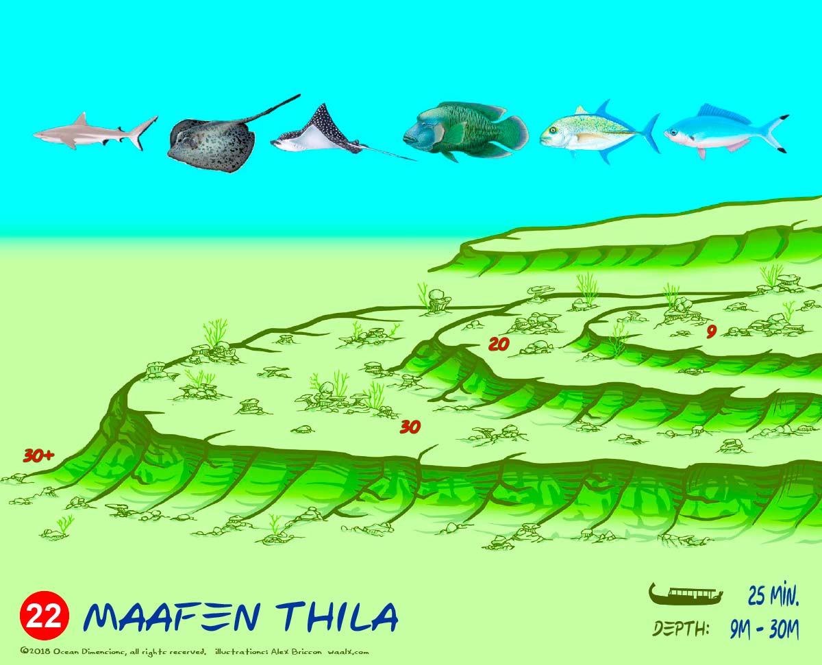 Maafen Thila