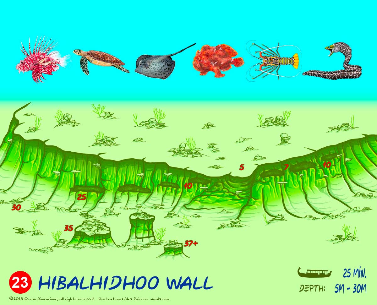 Hibalhidhoo Wall