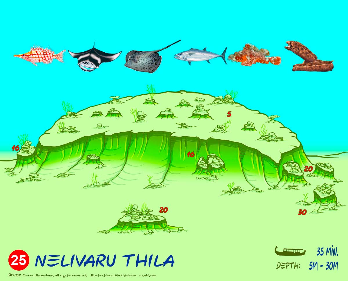 Nelivaru Thila