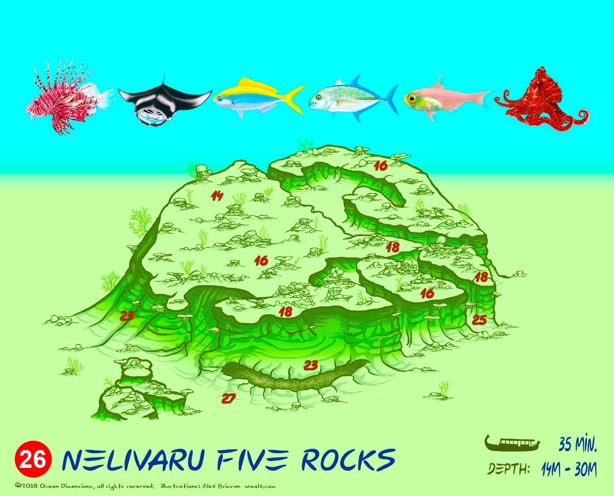 Nelivaru Five Rocks