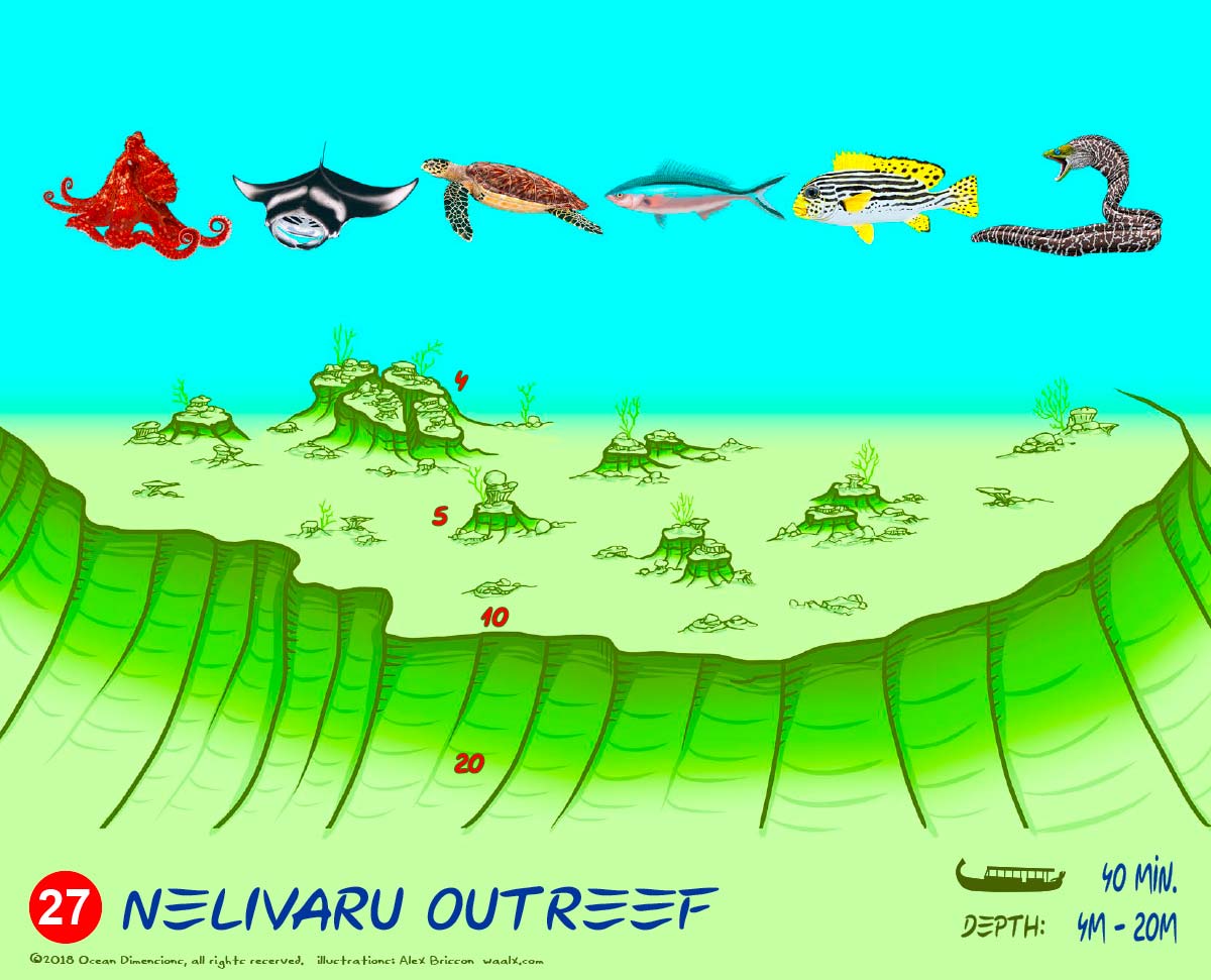 Nelivaru Outreef