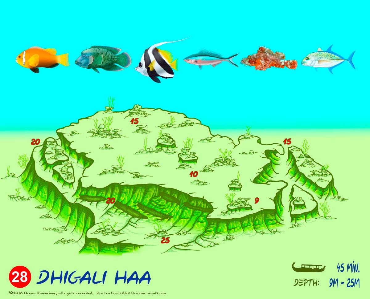 Dhigali Haa