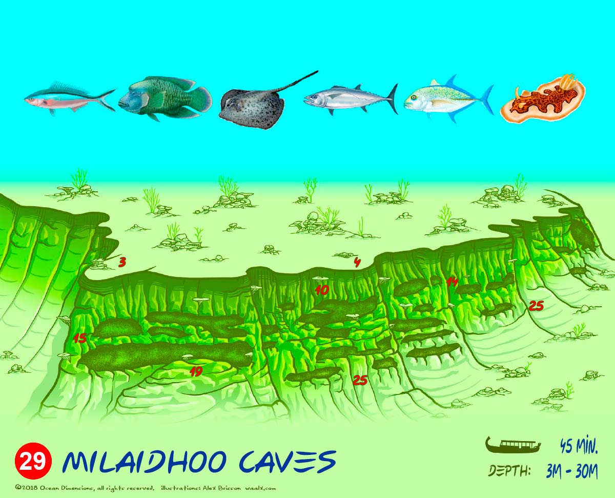 Milaidhoo Caves